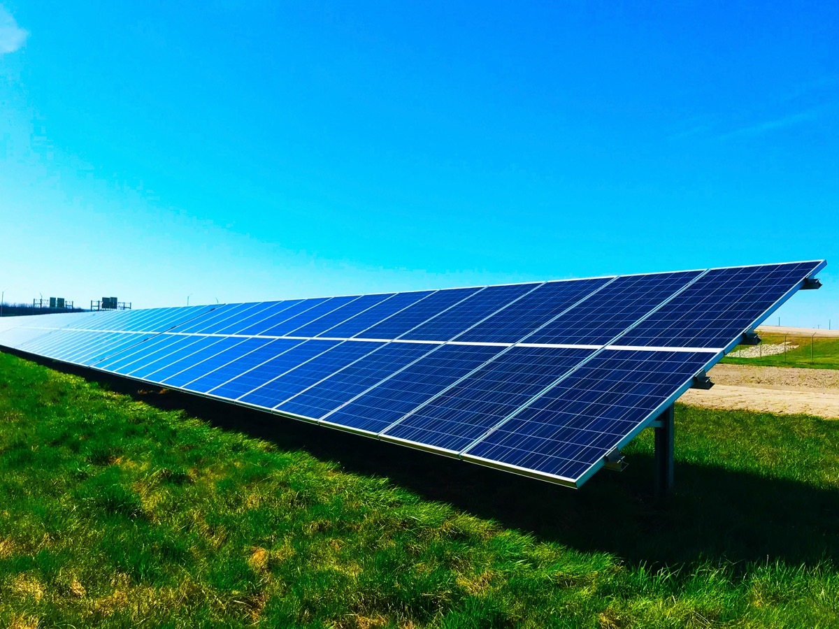 An array of ground-mounted solar panels